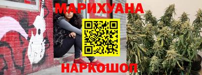 дмт Аргун