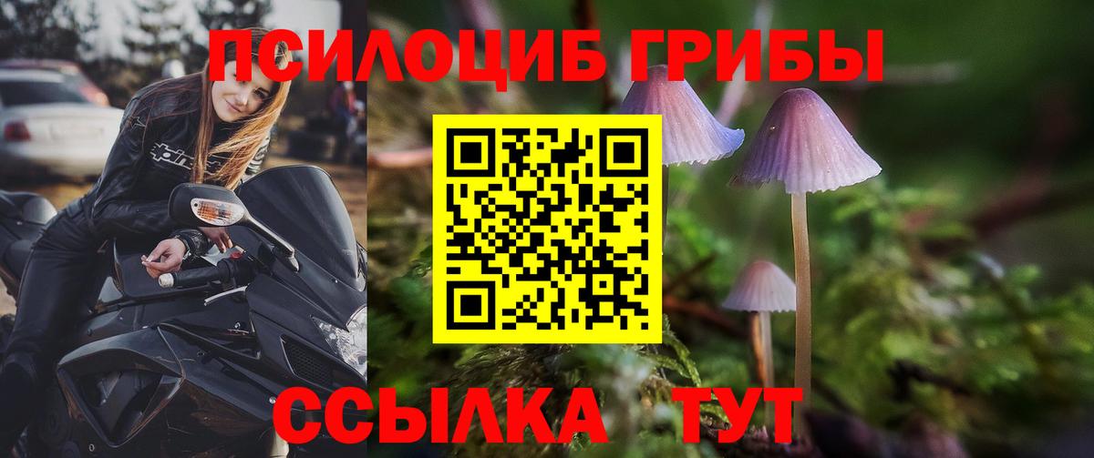 Вичуга  Галлюциногенные грибы Magic Shrooms  Псилоцибиновые грибы Psilocybe  Вход с VPN 